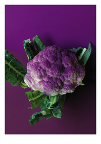 CAULIFLOWER POSTER