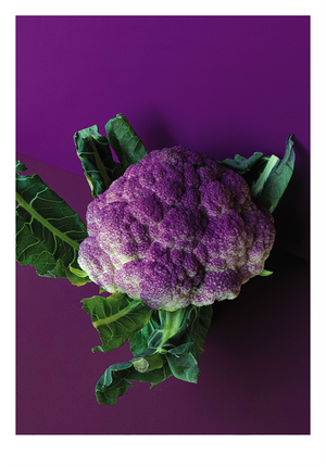CAULIFLOWER POSTER