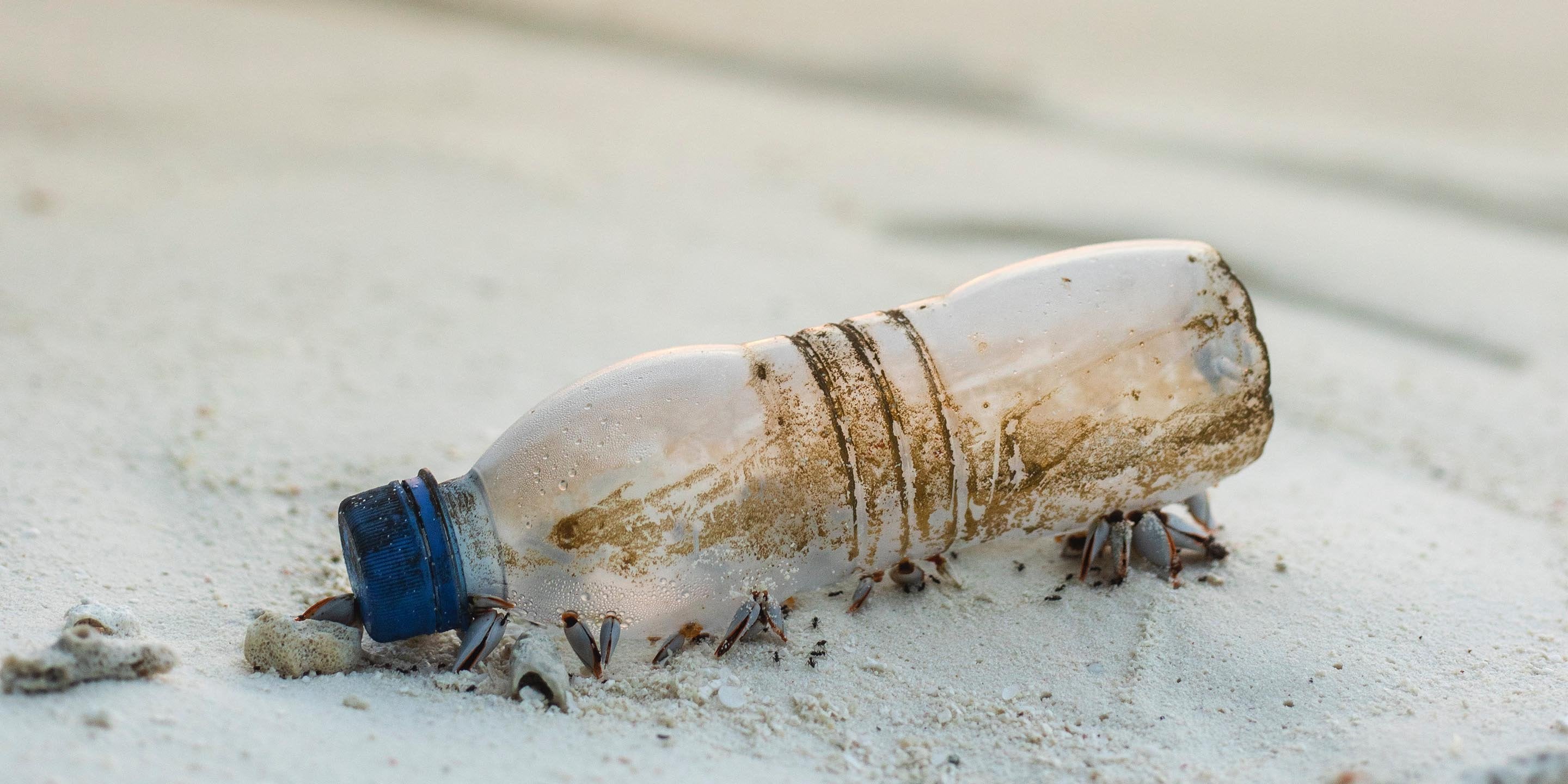 Why plastic is one of the planet's biggest threats