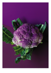 CAULIFLOWER POSTER