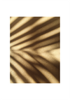 PALM SHADOW NO.01